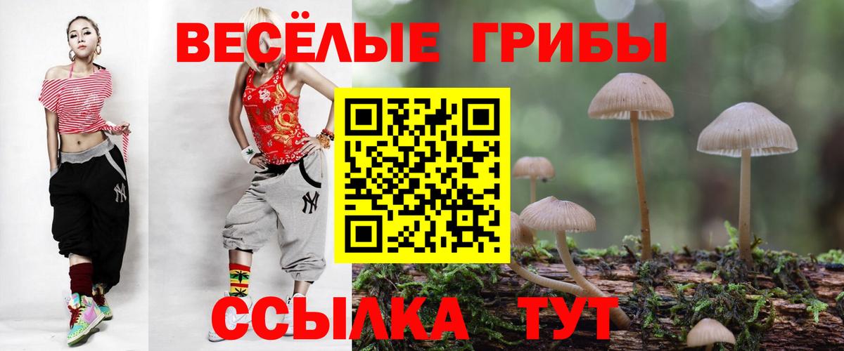 Псилоцибиновые грибы мухоморы  Псилоцибиновые грибы Magic Shrooms  Кореновск  где можно купить   Вход с VPN 